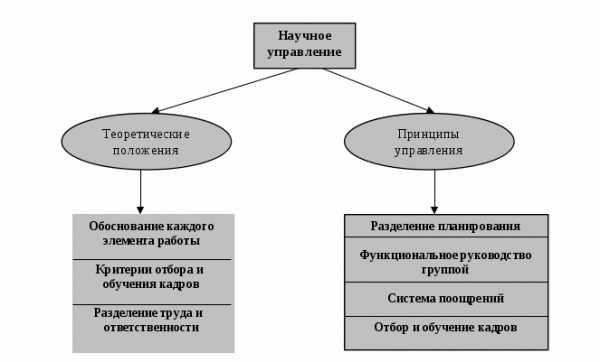 Курсовая работа по теме Теория организации в системе наук